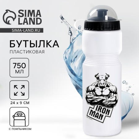 Water bottle Iron Man, 750 ml