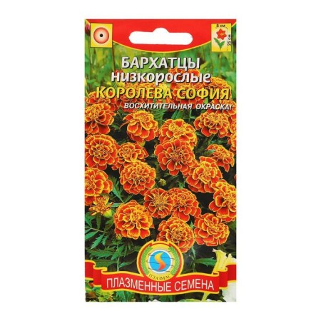 Seeds of marigolds rejected "Queen Sofia", stunted, 45 pcs