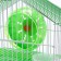 Rodent cell equipped RT-2T, 22 x 16 x 20 cm, green