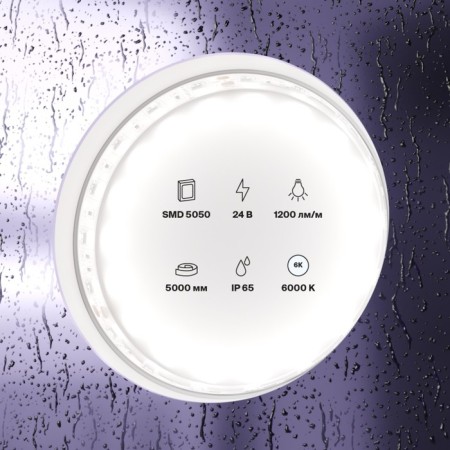 Maytoni Led Strip 10173, 24V, 5 m, IP65, 5050, 14.4 W/m, 10x2.3, 6000K, monochrome-2
