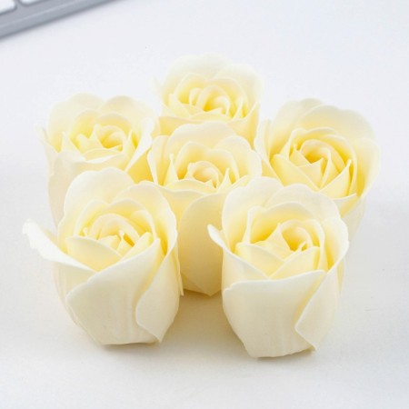 Set: Diary and soap petals "Teacher sounds proudly"-8