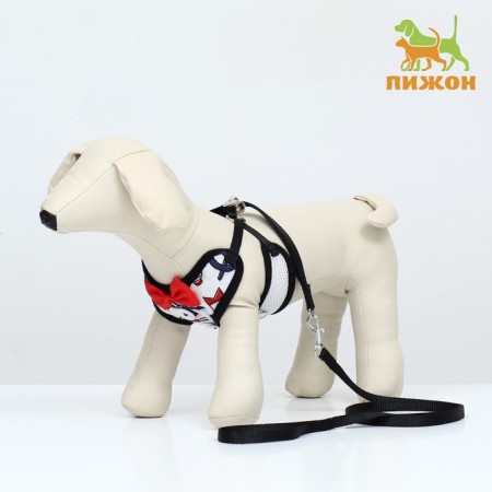 A set with a soft harness and a bantik "sea", size S, leash 120 x 1.5 cm, fire 23-42 cm 968377