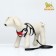 A set with a soft harness and a bantik "sea", size S, leash 120 x 1.5 cm, fire 23-42 cm 968377