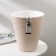 Kashpo for flowers with an insert "Valencia", 5.2 l, pearl color