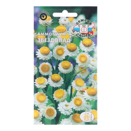 Flower seeds ammobum "Starfall", Euro, 0.2 g
