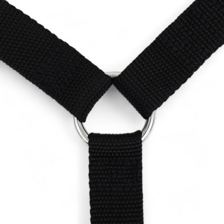Leash with a universal penalment, width 2.5 cm, black-4
