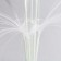 Star for balloons, 7 balls, with backlight, base of chamomile