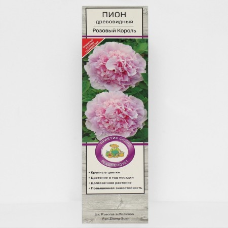 Pion tree pion (vaccinated on grassy) "pink king", 1 pc, tube, spring 2025
