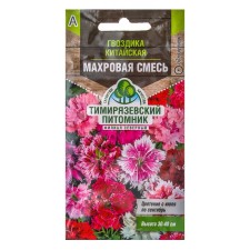 Flowers of cloves 