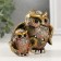 Polystone souvenir "Two eagle owl with a pattern on the neck" MIX 5x11.5x9.2 cm