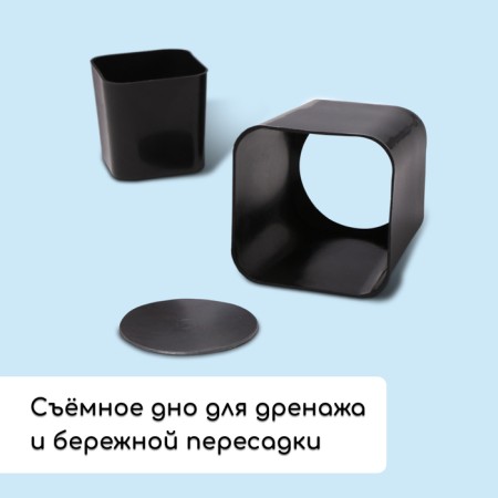 Set for seedlings: glasses of 300 ml (12 pcs.), Patron 43 × 18 cm, mix, Greengo-3