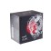 Bearing Helios ISAMI 3000F, 3+1 bearing, 5.2: 1