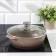 Granite Brown, 2.4 L, D = 26 cm, glass cover, anti -stick coating, brown color