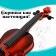 Musical toy "Violin. Maestro ", sound effects, color mix