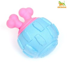 A toy for dogs 