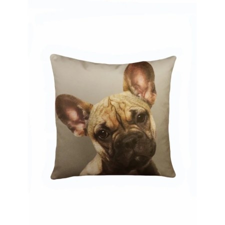 Decorative pillow "Dog French bulldog", size 40x40 cm