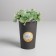Flower glass "Happy New Year", 11.5 x 7.3 cm, New Year