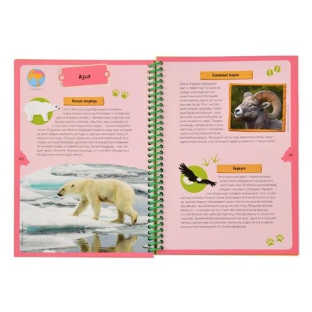 Animal planets. Children's Encyclopedia (in the box)-3