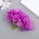 Flowers for decorating "hydrangea" lilac 10x10 cm