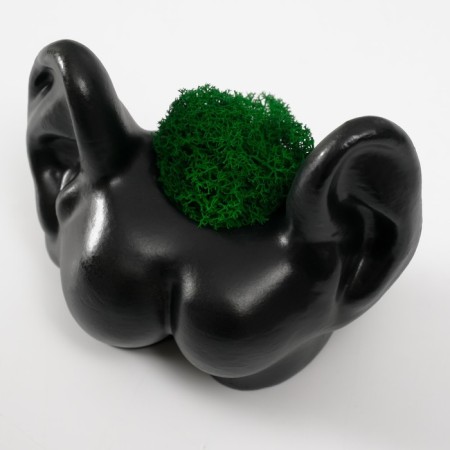 Concrete Kashpo "ass with ears" with moss 8x10 cm black (moss green stabilized)-4