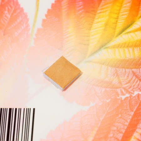 Decoration on the adhesive tape "Autumn leaves" red, yellow, 18x18 cm-2