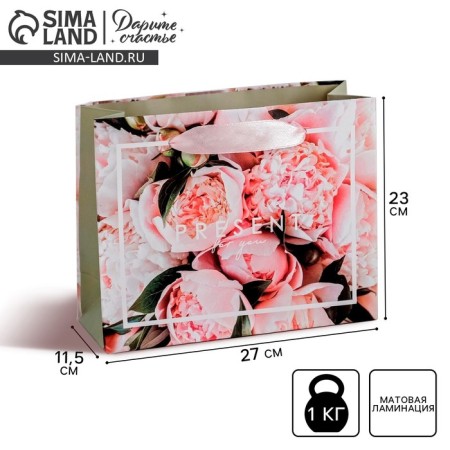 Packaging, Gift Laminated Horizontal, Pressent, Ml 27 x 23 x 11.5 cm