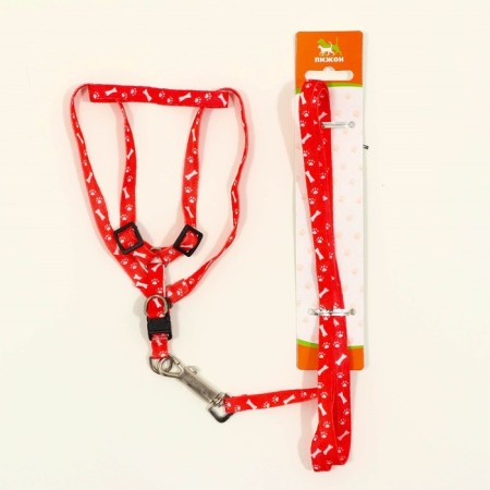 Set "Classic", Kapron, leash 120 x 1 cm, fire 21-35 cm, red-5