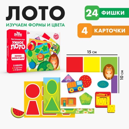 Smart Loto. We study the shape and color, 24 chips