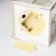 Nightlight "Lanter 2" LED from batteries 3HAAA White with a golden patina 11x11x21.5 cm