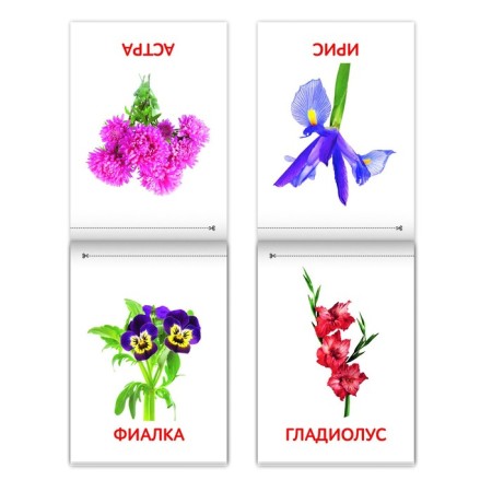 Books "Cards of Doman. The world around us ”, set, 8 pcs. 20 p.-5