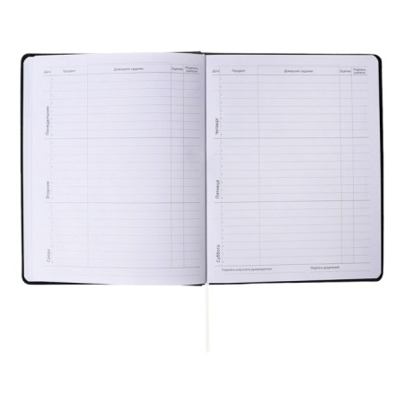 Universal diary for grade 1-11 Morning, integral cover, artificial leather, silkography, liesse, 80 g/m2-6