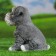 Garden figure "Puppy Mittelshnauser" 19x15cm