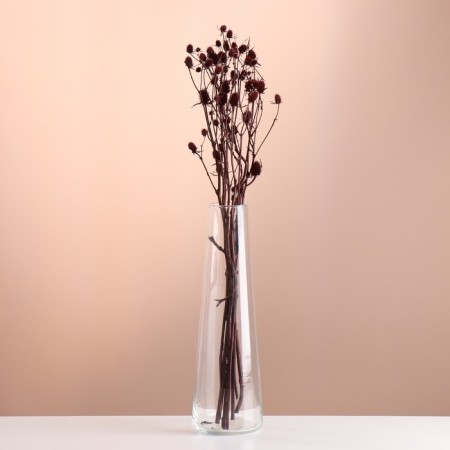 A set of dried flowers "Eringium", ban 5 pcs, length 50 (+/- 6 cm), terracotta