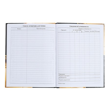 Universal diary for grades 1-11, "golden ball", a solid cover 7BC, glossy lamination, 40 sheets-8