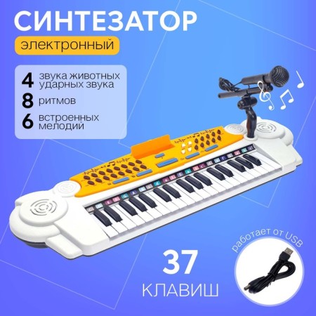 Synthesizer "Melody", 37 keys, with a microphone