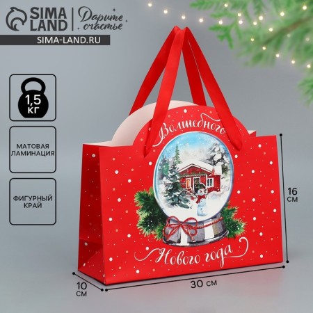 Gift package "Magic New Year", 30 x 19.7 x 10 cm, New Year