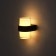 Facade lamp “Double Grand”, FSD-040, 10 W, 3000K, IP65, 220 V, plastic, black