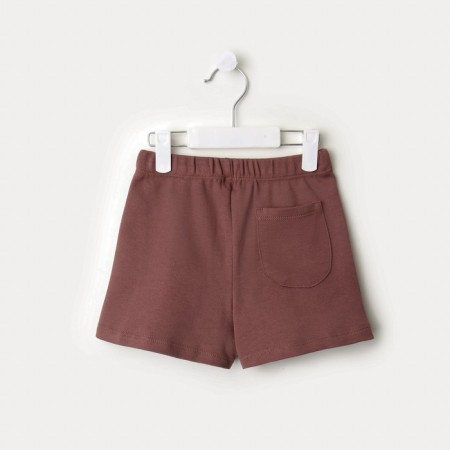 Kidsa (sweatshirt, shorts) minku, brown color, height 116 cm-11