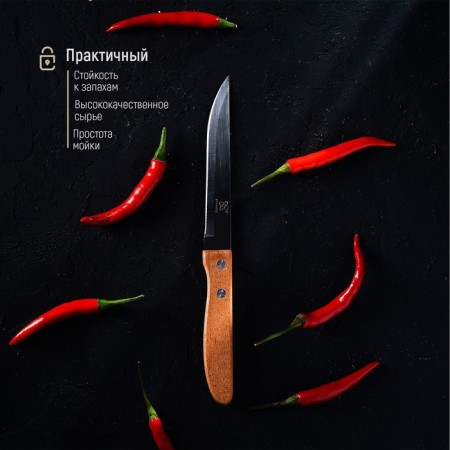 Knife Kitchen shade "Elbrus", blade 11.5 cm-5