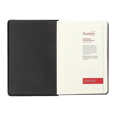 Diary Nedtir A5 160l Escalada, TV Region, Light claim, Las, tone BL 70g/m2, black-8