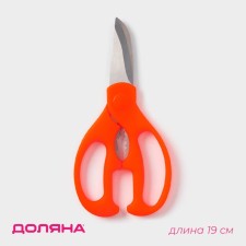Scissors kitchen shares 