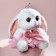Soft toy "Bunny La Pu", in a dress, with a crown