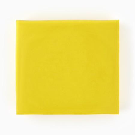 E Lastik shock "Leonardo", yellow color-2