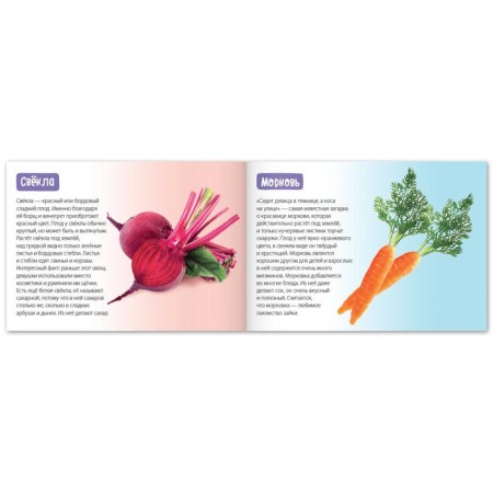 The training book "Vegetables", 20 p.-1