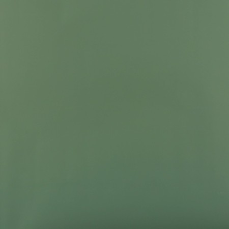 Flower film Packaging powder double -sided “menthol + ginger mint”, 50 μm, 0.5 x 9 m-1