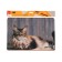 Mouse mat Perfeo Cat Fig. 5, 350x300x3 mm