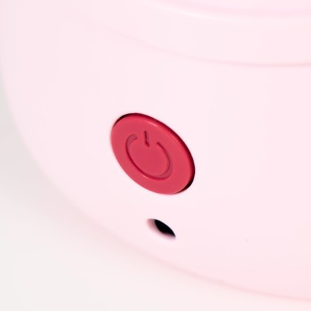 Maneck table lamp LED 3W AKB USB Pink 11.5x10x30 cm Risalux-9