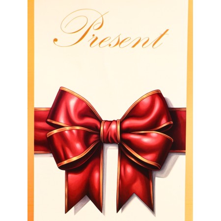 Laminated package for a bottle "Bant", 13 x 36 x 10 cm-2