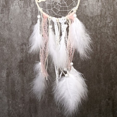 Dreams of "Dreams" d = 15 cm mix 42 cm-3