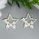 Decor for creativity Metal "Pearl asterisk with a tinkle of flowers" 3.2x3.2 cm